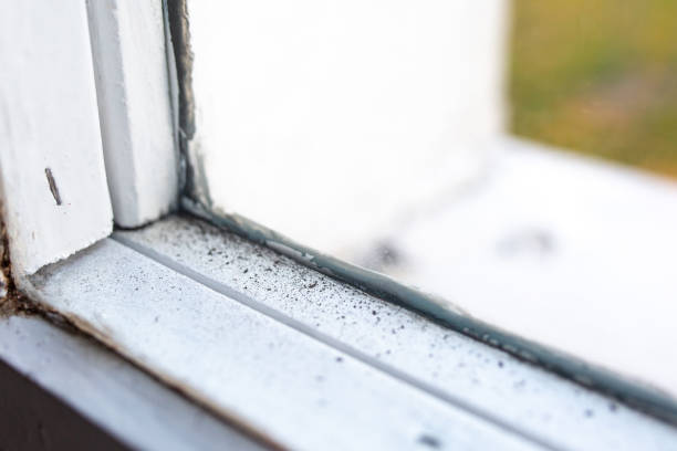 Best Asbestos and Lead Testing During Mold Inspection  in Beverly, NJ