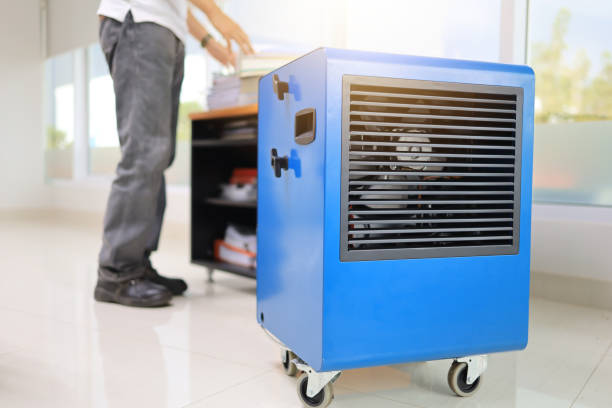Mold Odor Removal Services in Beverly, NJ