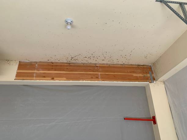 Best Dehumidification Services  in Beverly, NJ