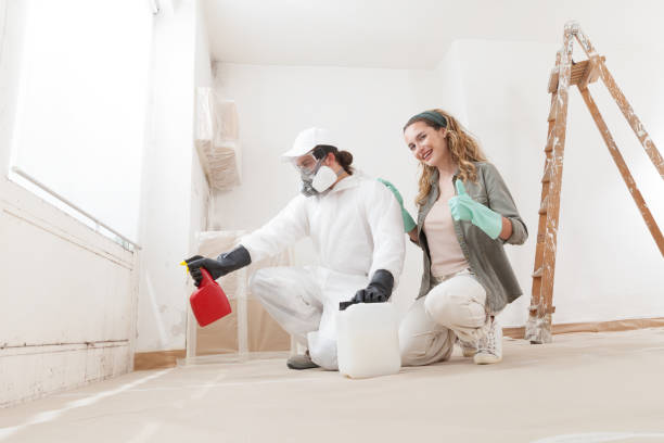 Best Industrial Mold Remediation  in Beverly, NJ