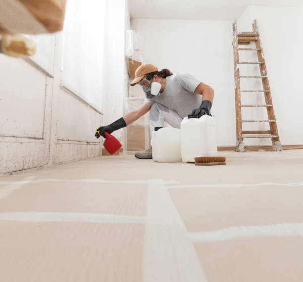 Mold Removal for HVAC Installations in Beverly, NJ