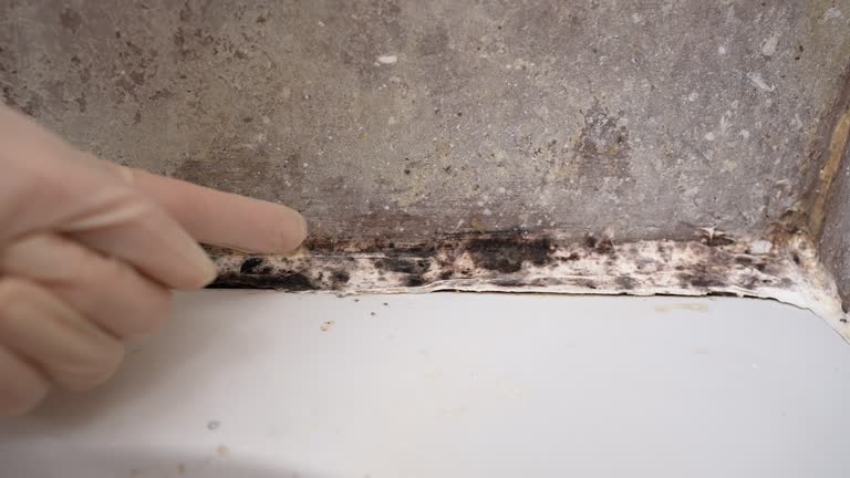 Best Air Quality Testing for Mold Spores  in Beverly, NJ